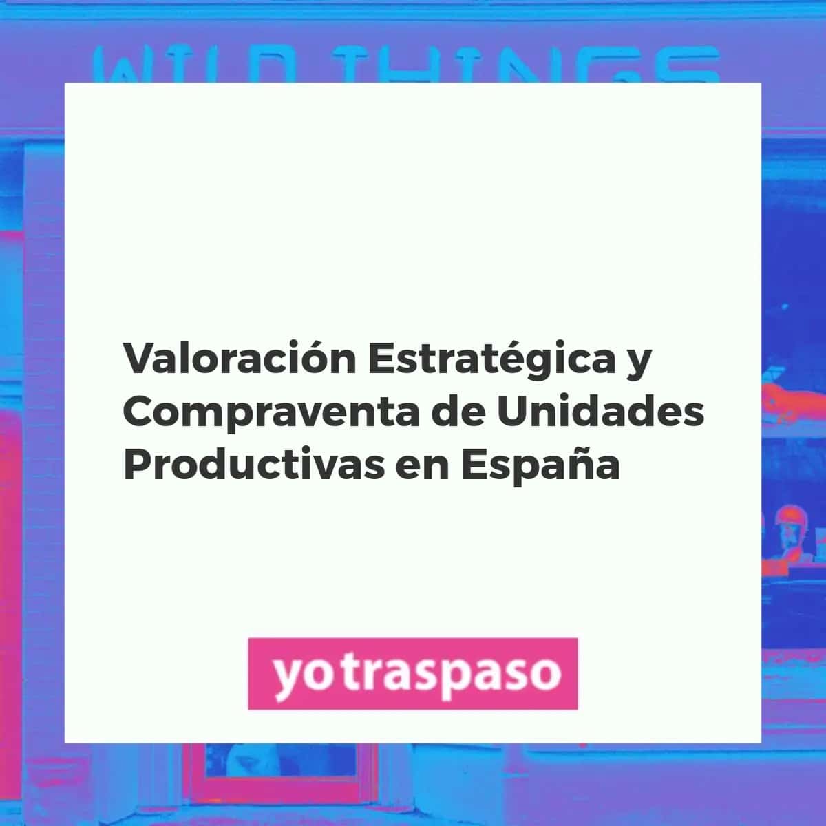Análisis financiero estratégico para la compraventa de unidades productivas en España